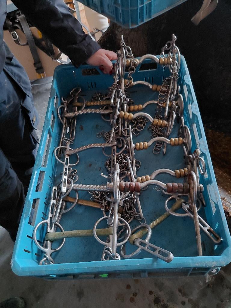 Menbitten, Gebruikt, Overige typen, Paard