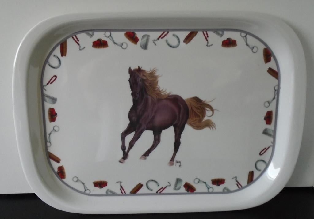 DIENBLAD THEMA PAARDEN Nieuw, Huis en Inrichting, Woonaccessoires | Dienbladen, Ophalen of Verzenden, Nieuw, Rechthoekig, Kunststof