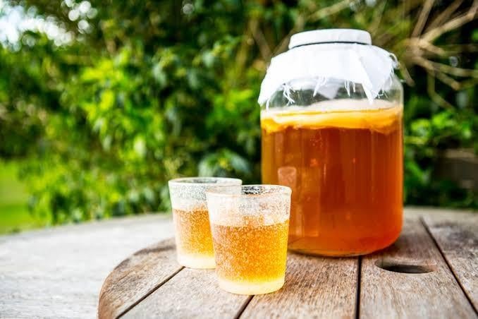 Kombucha SCOBY — préparez votre propre limonade saine, Enlèvement ou Envoi