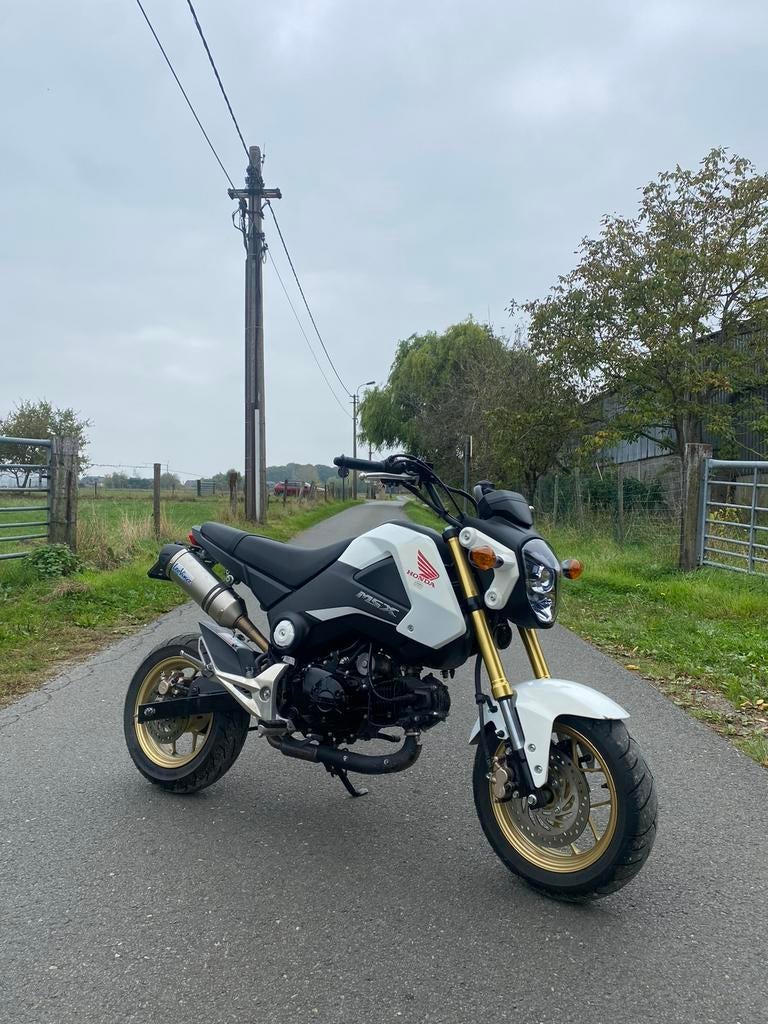 Honda MSX grom 125cc, Motoren, Particulier