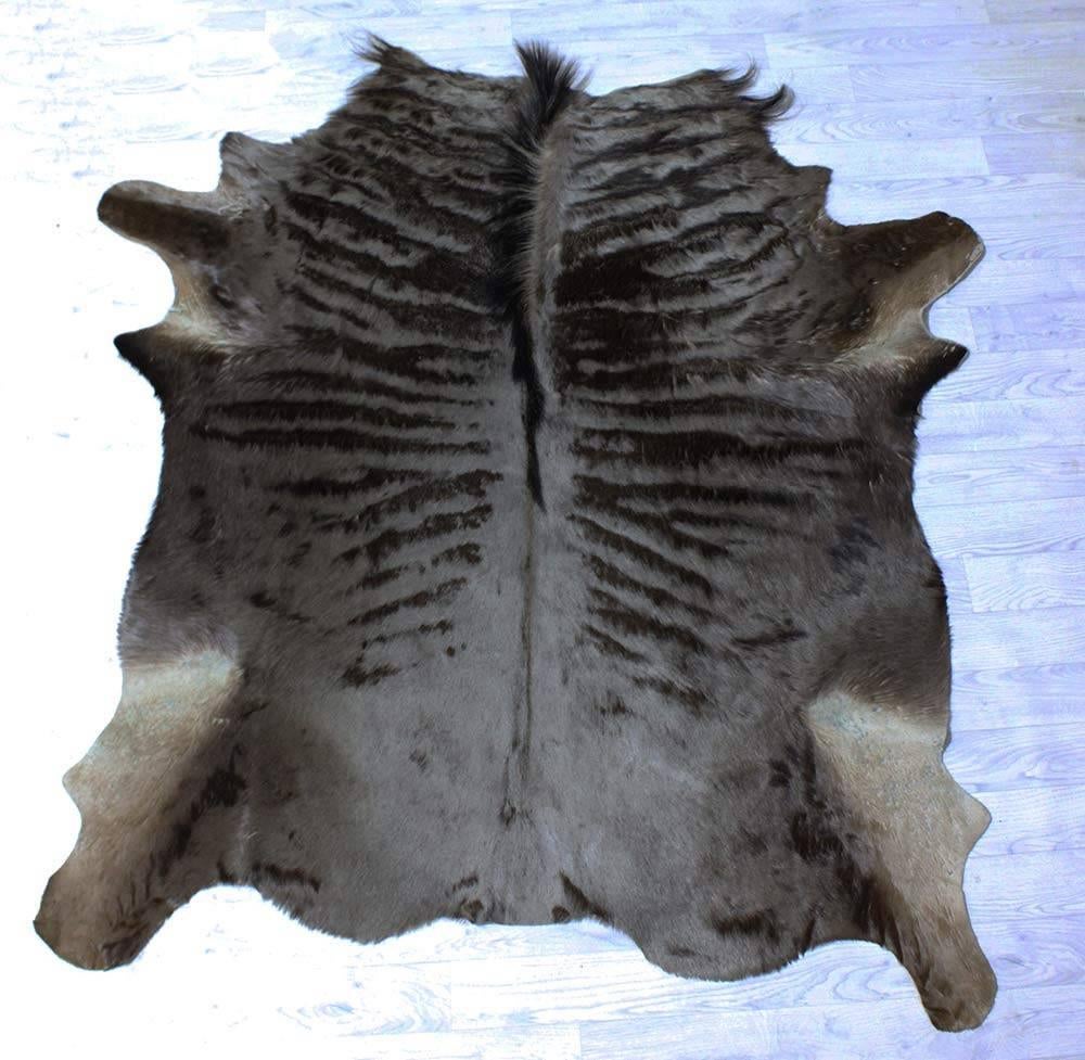 Zgan VEL GESTREEPTE GNU / WILDEBEEST (geen koeienvel), Ophalen of Verzenden, Zo goed als nieuw, Wild dier, Overige typen