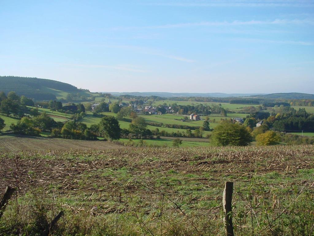 Ardennen Vakantiehuizen Groepshuizen Kasteelverblijven, Ardennen of Luxemburg, Landhuis of Villa, Landelijk