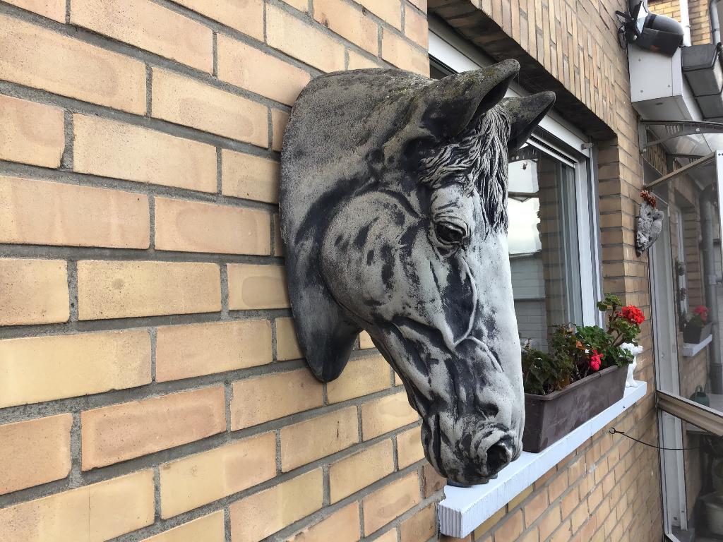 Grote cement paardenhoofd 50 cm lang, 25 cm breed., Ophalen of Verzenden, Zo goed als nieuw, Beton, Dierenbeeld