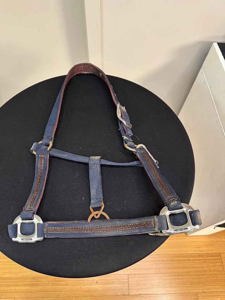 Licol Lamicel COB, Animaux & Accessoires, Enlèvement ou Envoi, Comme neuf