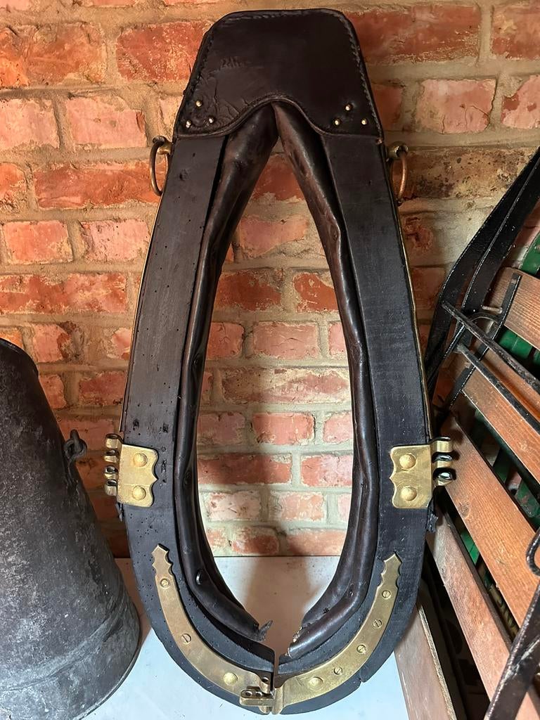 Collier de cheval, Animaux & Accessoires, Utilisé