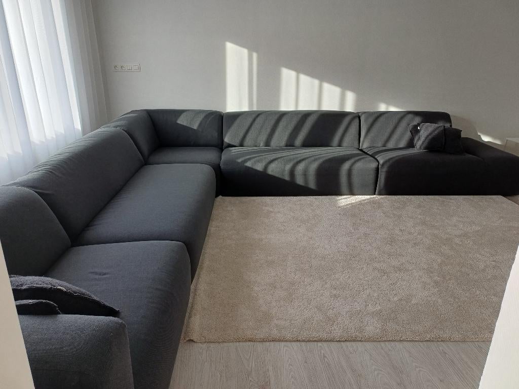 Hoekzetel juntoo, Ophalen