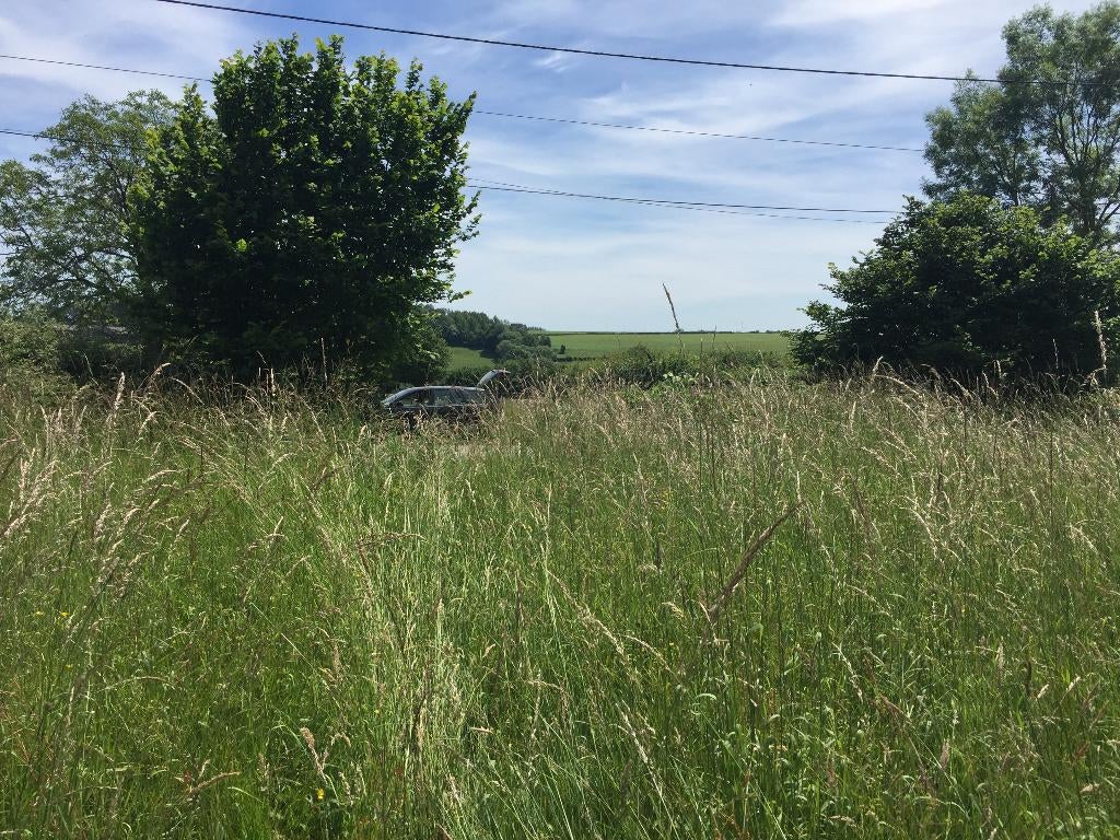 jardin, Overige uren, Vanaf 10 jaar, Overige vormen, Geschikt als bijbaan