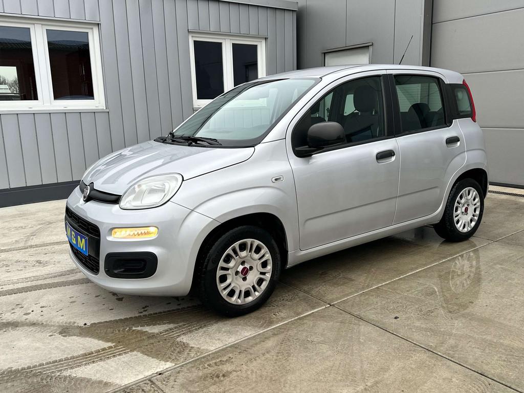 Fiat Panda Panda 1.2 * 12 m garantie *, 1242 cm³, Argent ou Gris, Achat, Euro 6