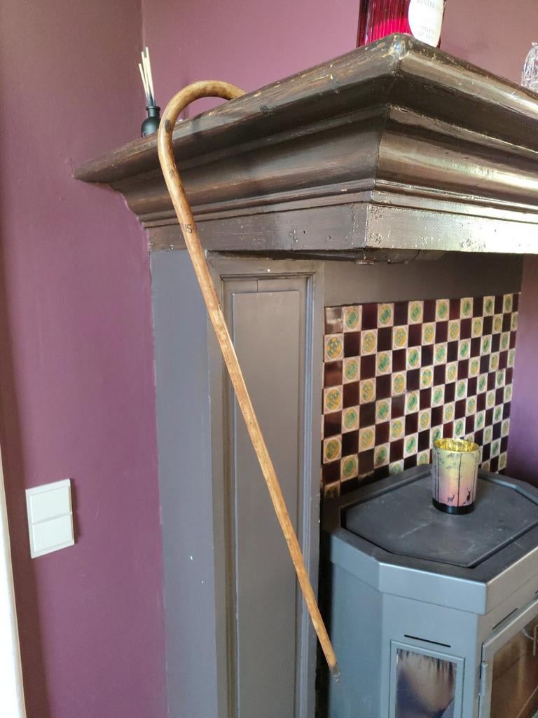 Wandelstok hout, Diversen, Wandelstokken, Ophalen, Gebruikt