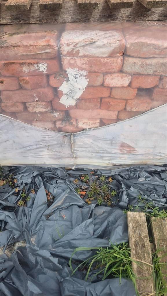 Rustica oud kempisch M50 1888848, Ophalen