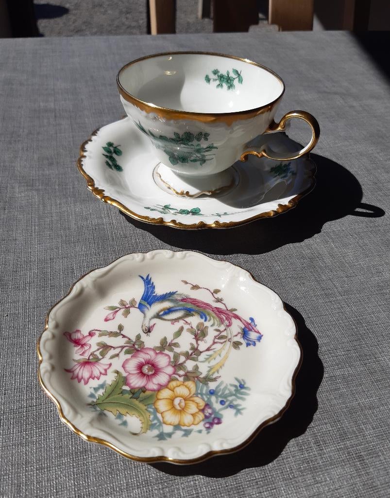 Rosenthal theekopje met schotel + schoteltje Paradijsvogel, Antiek en Kunst, Ophalen of Verzenden