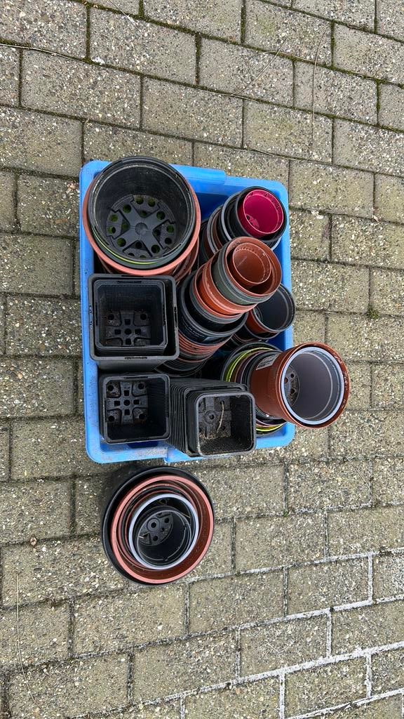 GRATIS plastic potjes voor planten, Ophalen, Gebruikt