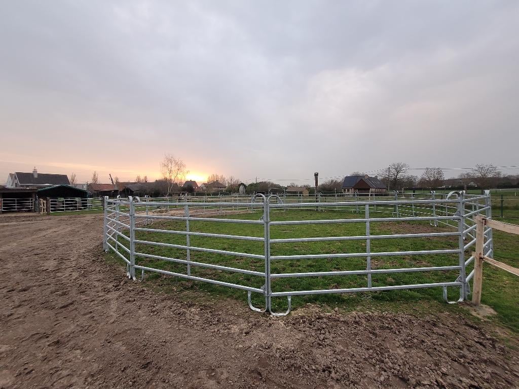 Weidegang paddock paradise Anzegem, Dieren en Toebehoren, Stalling en Weidegang, Weidegang