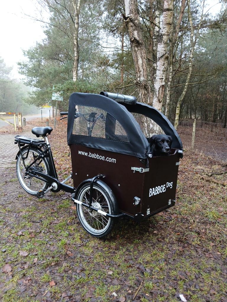 Bakfiets Babboe Dog-e, Autres marques, Électrique, Comme neuf, Enlèvement