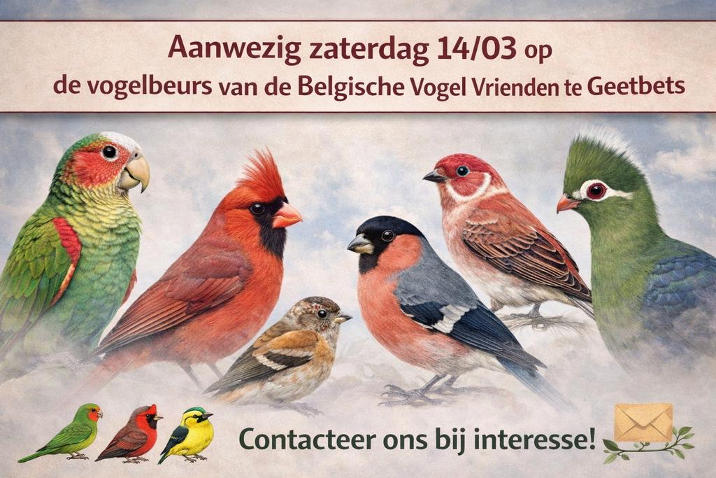 Volledige lijst van vogels 10/3, Meerdere dieren, Tropenvogel, Geringd