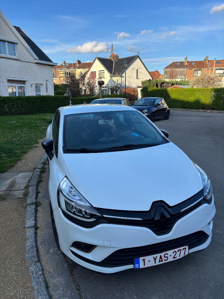 Clio 4 2019, Auto's, Renault, Euro 5, Zwart, Wit, 5 deurs