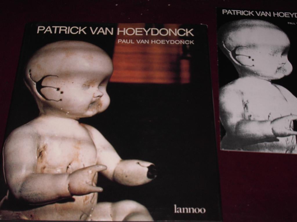 PATRICK VAN HOEYDONCK (1959-1984) uitg. Lannoo 1986, Boeken, Nieuw, Paul van Hoeydonck, Ophalen of Verzenden, Schilder- en Tekenkunst