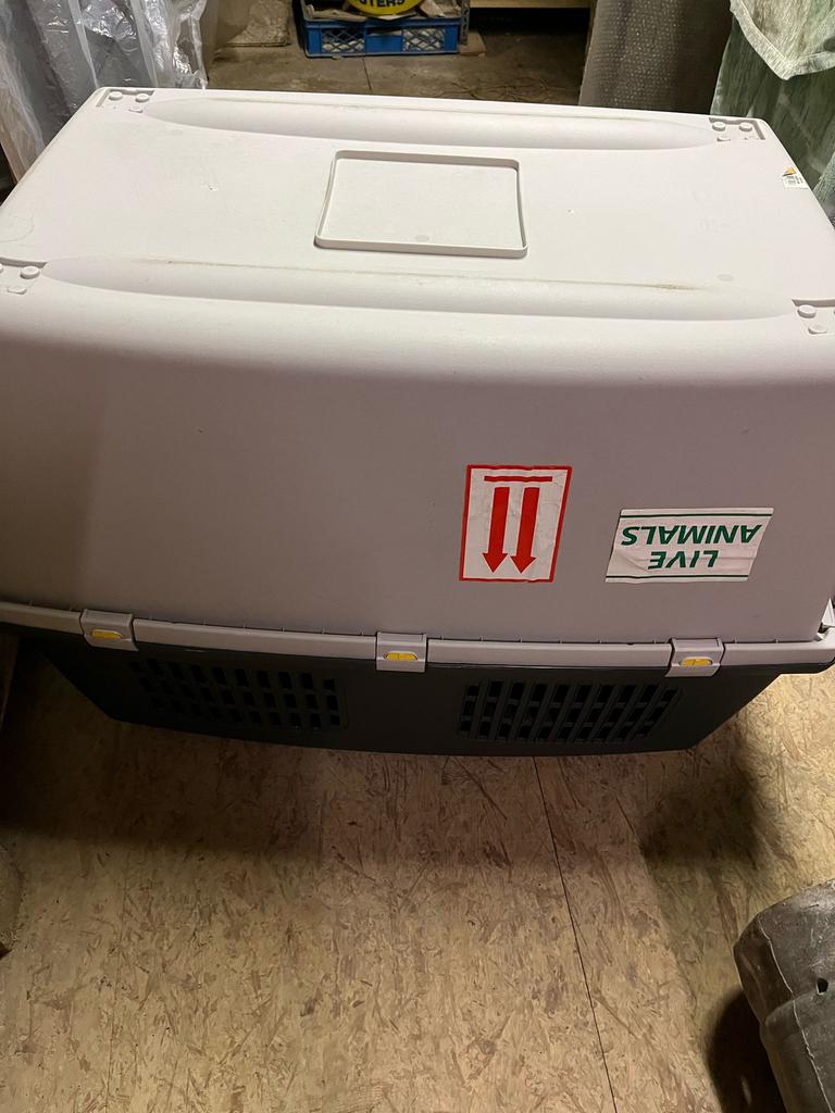 Cage pour chien également pour le transport en avion, Enlèvement, Comme neuf