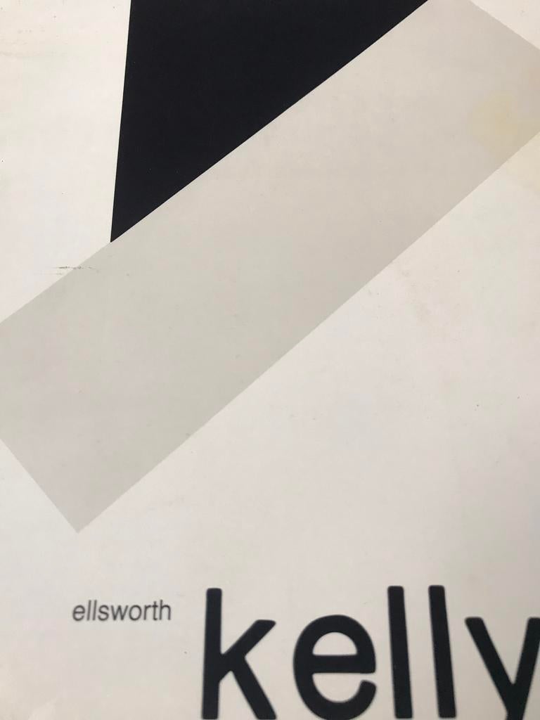 Peintures Ellsworth Kelly, 90 pages, Enlèvement ou Envoi, Comme neuf, Peinture et dessin