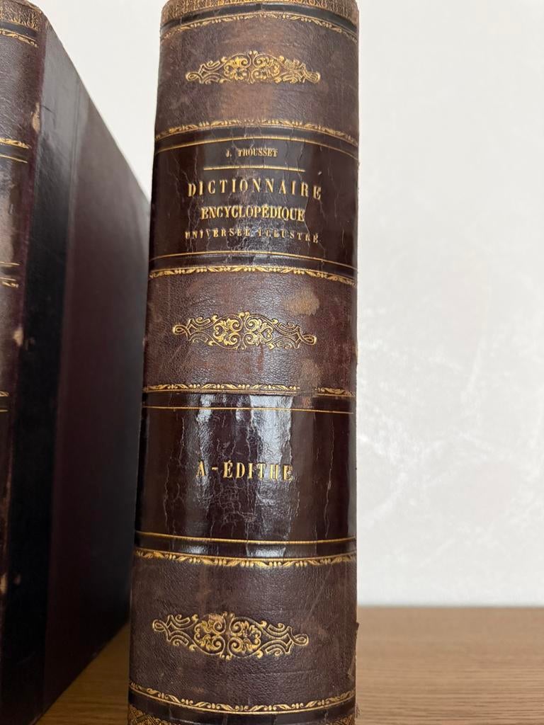 Nouveau dictionnaire encyclopédique universel illustré, Enlèvement, Utilisé, Autres sujets/thèmes, Série complète