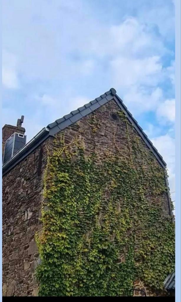 Couvreur 35 ans d'expérience, Bricolage & Construction, Enlèvement ou Envoi