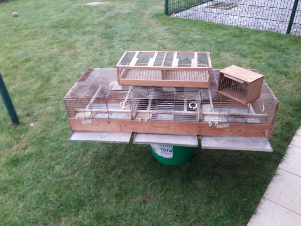 Mooie vogelkooien en transportkooien ., Dieren en Toebehoren, Ophalen