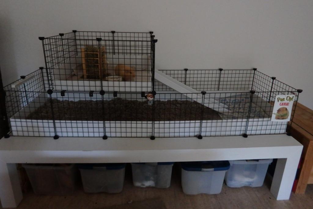 Originele draadkubus caviakooi, Dieren en Toebehoren, Ophalen, Kooi, 60 tot 90 cm, Cavia