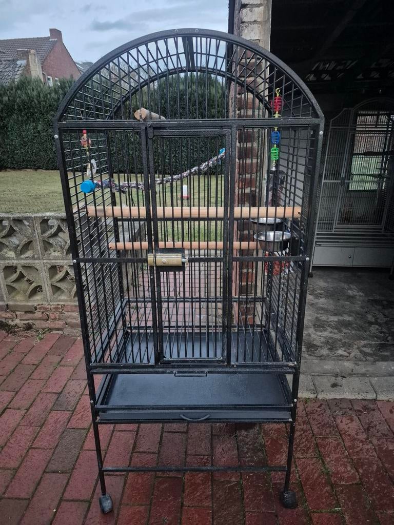 Papegaaien kooi vogelkooi, Ophalen, Vogelkooi
