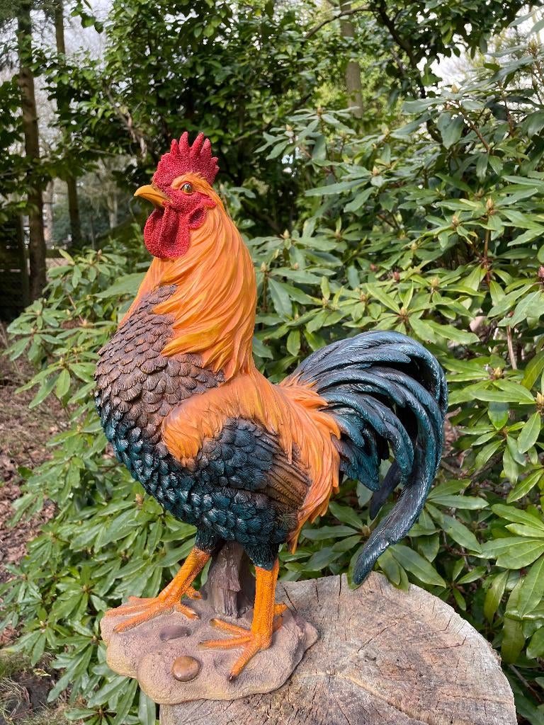 Beeld Haan, tuin, vijver, gazon, boerderij 50cm, Ophalen, Nieuw, Kunststof, Dierenbeeld