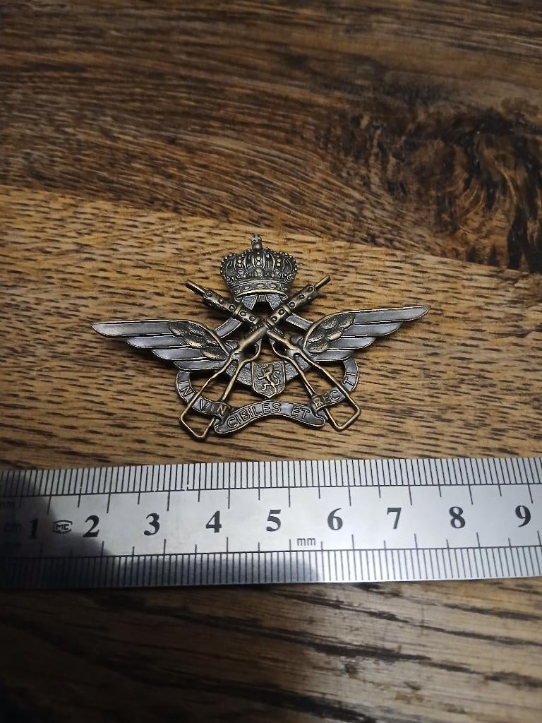 Bronzen UDA-gezichtsinsigne, Verzamelen, Militaria | Algemeen, Verzenden, Luchtmacht, Embleem of Badge