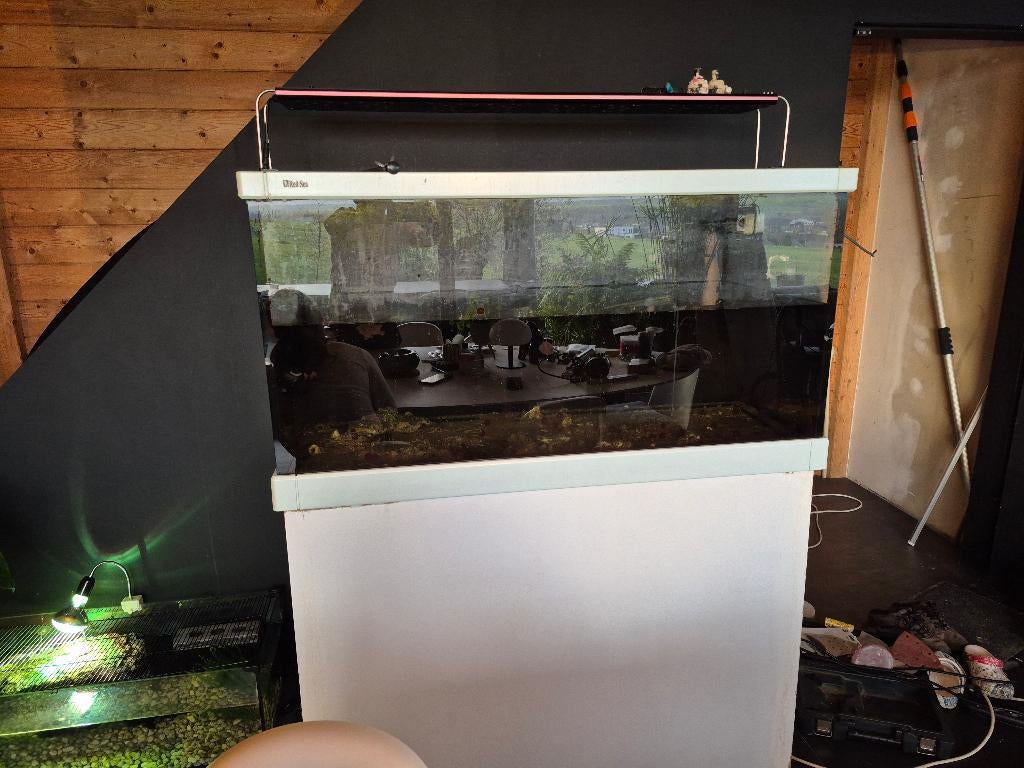 Aquarium marin vide, Dieren en Toebehoren, Vissen | Aquaria en Toebehoren, Ophalen, Gebruikt