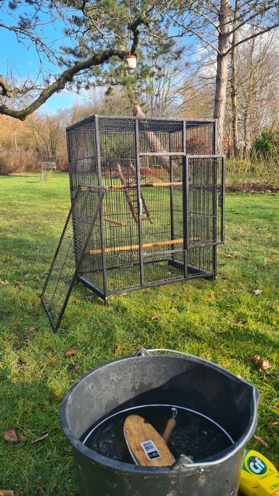 Vogelkooi, volière (parkieten valkparkieten papegaai, Enlèvement, Cage à oiseaux