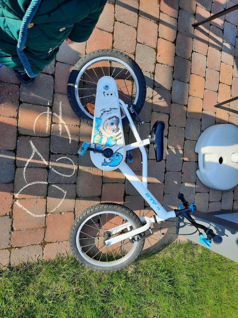 Fiets, Fietsen en Brommers, Fietsen | Driewielfietsen, Ophalen