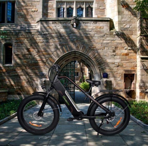 Fatbike E. Sachsenrad R12., Vélos & Vélomoteurs, Enlèvement, Neuf