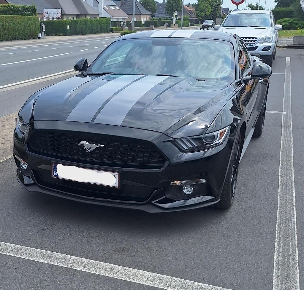 ford mustang, Auto's, Achterwielaandrijving, Zwart, Leder, Overige kleuren