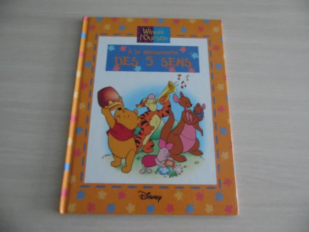 WINNIE L'OURSON À LA DÉCOUVERTE DES 5 SENS, Garçon ou Fille, Enlèvement ou Envoi, Fiction général, Comme neuf