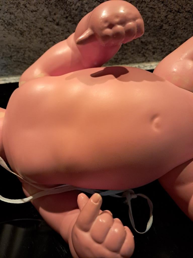 Poupee tortue, Enlèvement