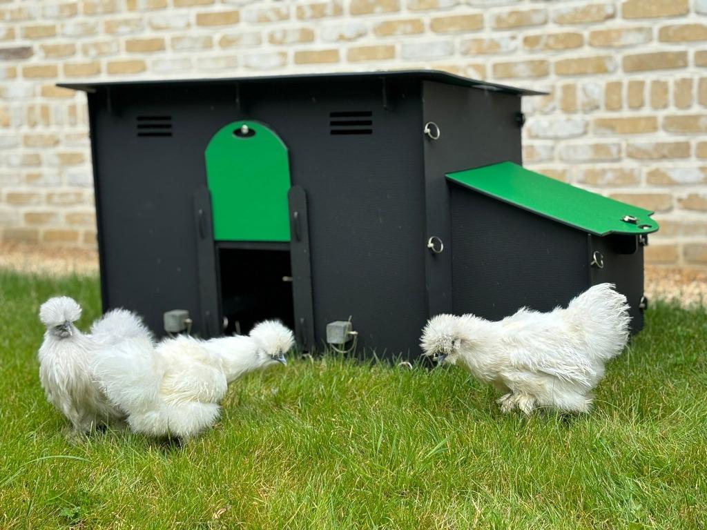 kippenhok Pluverdi Berlin, kunststof aan SUPER PRIJS, Enlèvement ou Envoi