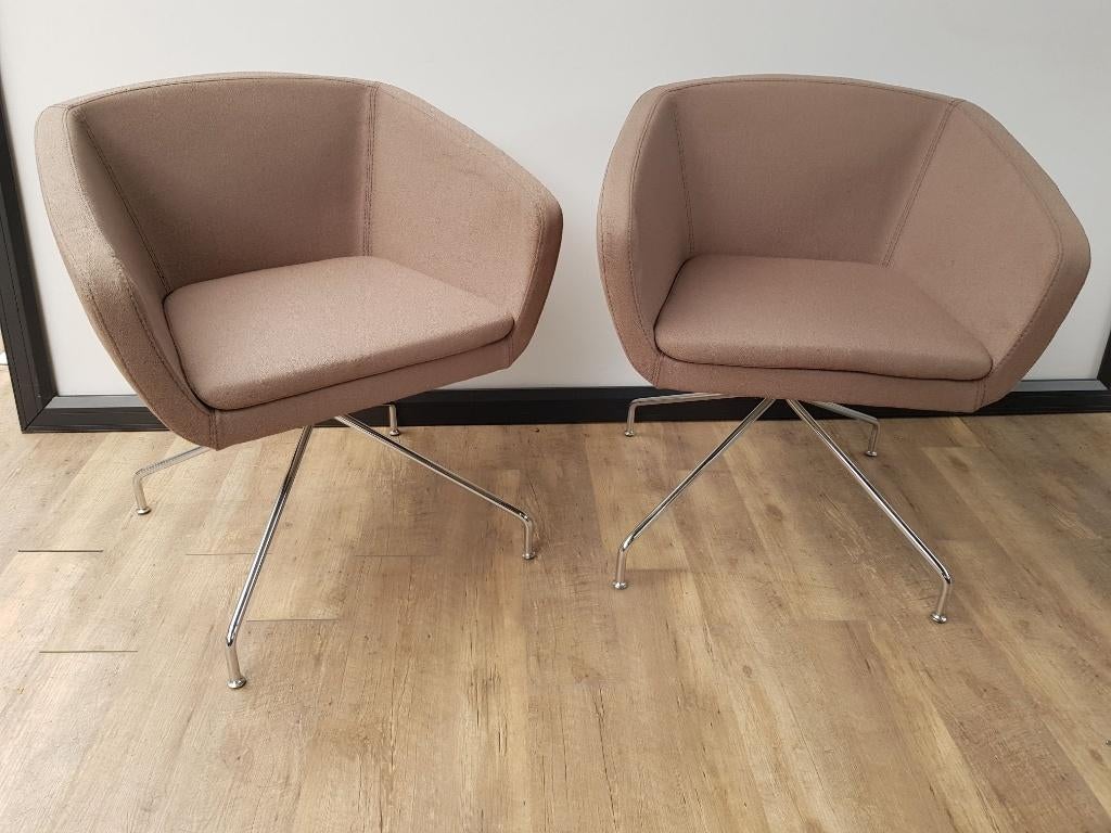 Sitia (Ginkgo), Antiquités & Art, Enlèvement ou Envoi