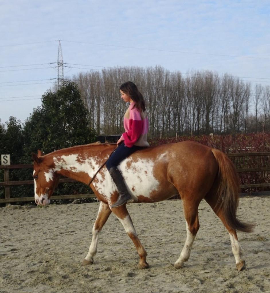 Opzoek naar een verzorger voor mijn super lieve ruin