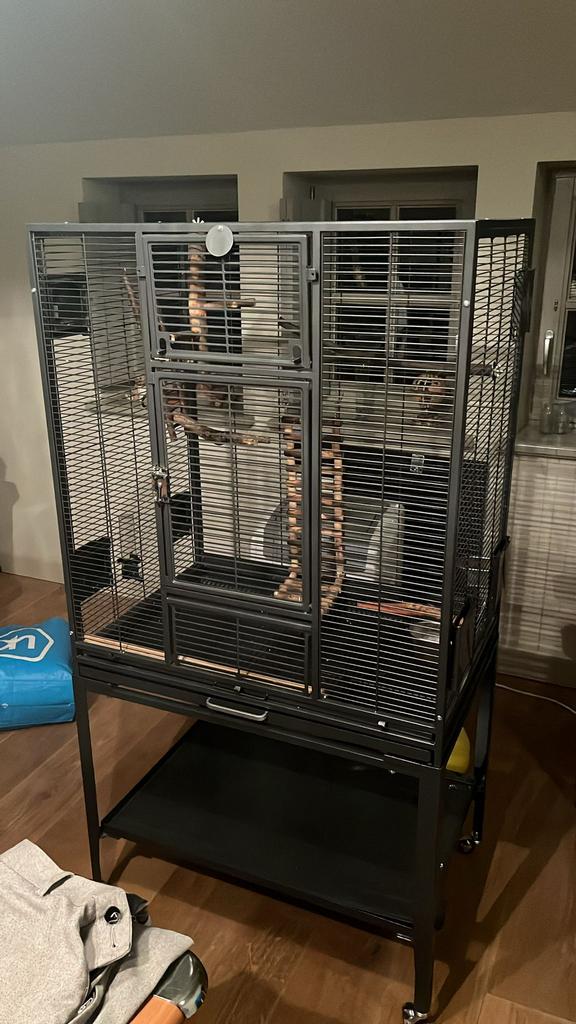 Vogel kooi groot, Dieren en Toebehoren, Vogels | Hokken en Kooien, Zo goed als nieuw, Vogelkooi, Ophalen