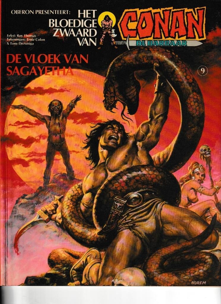 Strip - Het bloedige zwaard van Canon de barbaar nr.9., Boeken, Stripverhalen, Verzenden