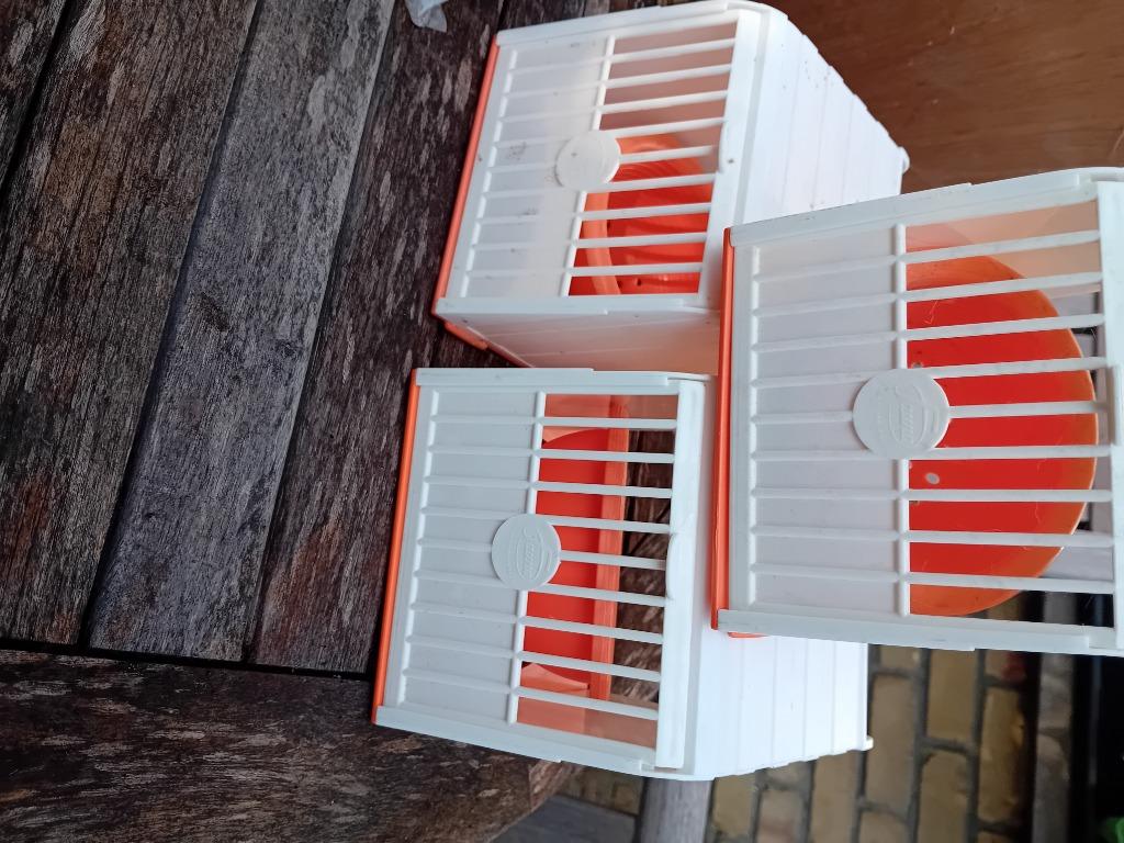 Gerief vogels en 2 kooien, Dieren en Toebehoren, Ophalen, Zo goed als nieuw