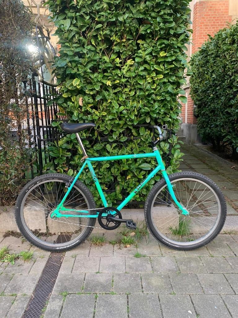 Raleigh Lizard all terrain - Single speed Commuter mtb, 49 à 53 cm, Enlèvement, Utilisé, Hommes