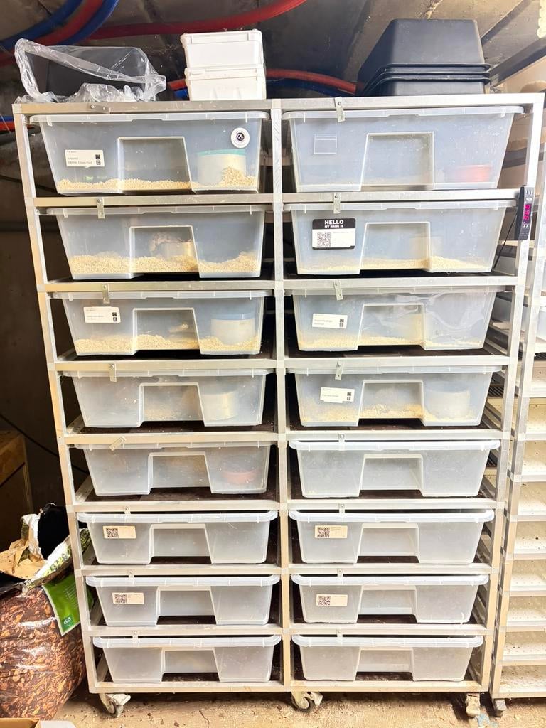 Groot zelf gemaakt rack, Animaux & Accessoires, Enlèvement, Comme neuf