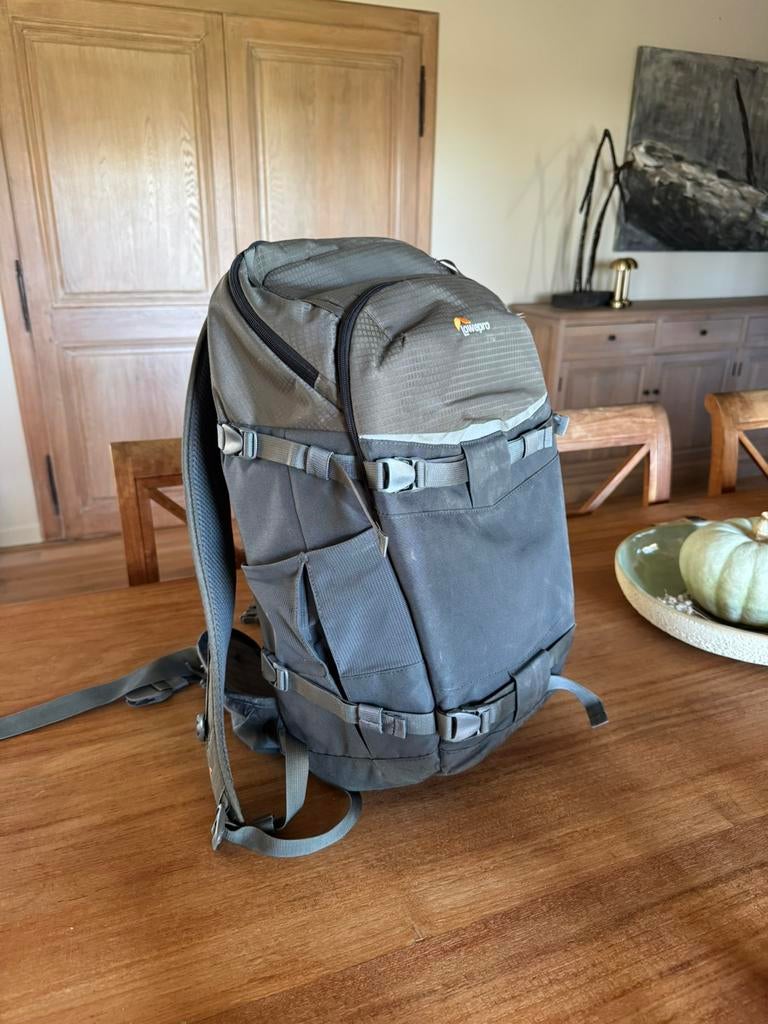 Lowepro Camerarugzak, Bijoux, Sacs & Beauté, Sacs | Sacs à dos, Enlèvement, Utilisé, Autres marques