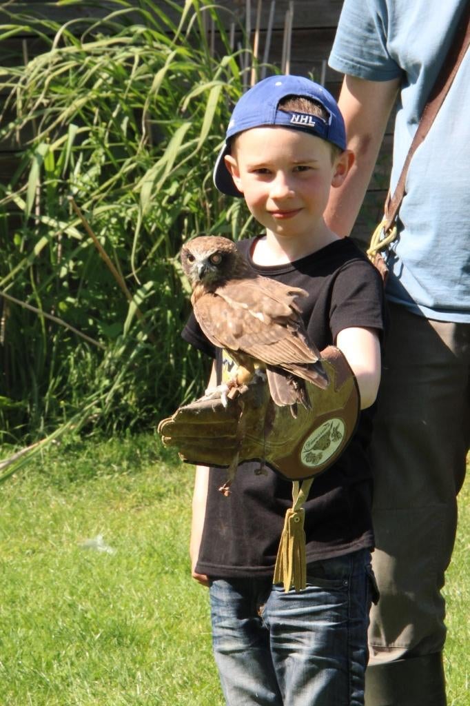 🎉 Anniversaire enfant avec rapace et animaux 🦅, Diversen, Sinterklaas, Nieuw, Ophalen
