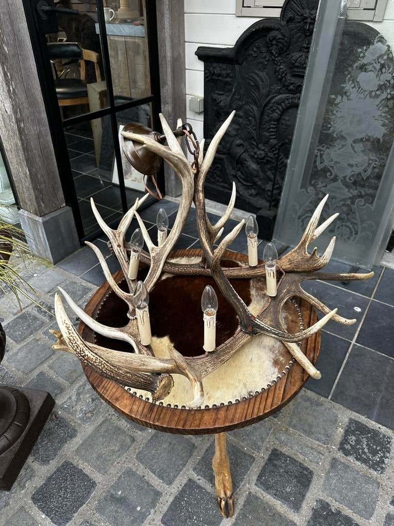 Gewei luster, Ophalen