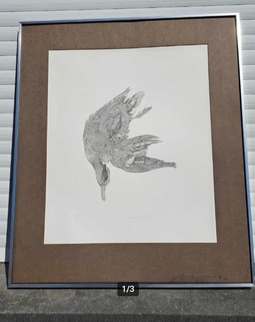 Lithographie oiseaux mort signe paul georges klein, Antiquités & Art, Enlèvement ou Envoi