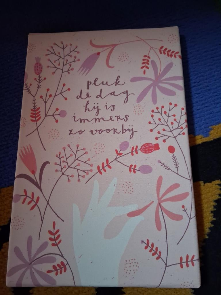 Kadertje Pluk je dag nieuw, Ophalen of Verzenden